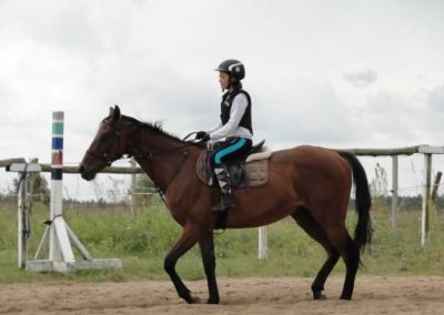 oboz-konie-2016-8-1-0049