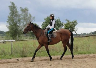 oboz-konie-2016-8-1-0053