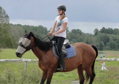 oboz-konie-2016-8-1-0055