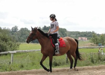 oboz-konie-2016-8-1-0124