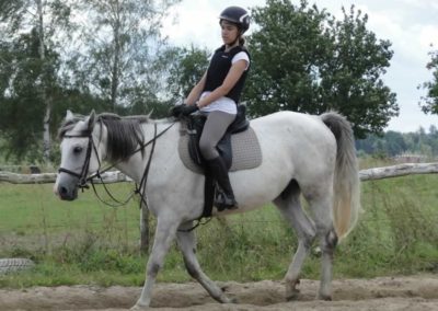 oboz-konie-2016-8-1-0143