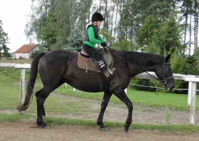 oboz-konie-2016-8-2-0005