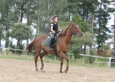 oboz-konie-2016-8-2-0048