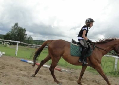 oboz-konie-2016-8-2-0049