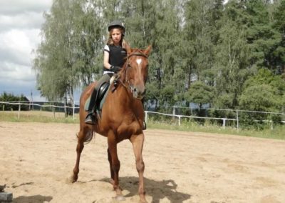 oboz-konie-2016-8-2-0062