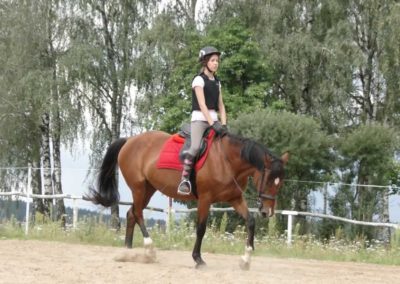 oboz-konie-2016-8-2-0071
