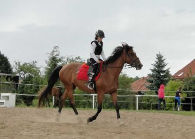 oboz-konie-2016-8-2-0080