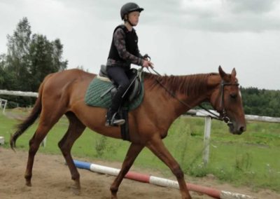 oboz-konie-2016-8-2-0097