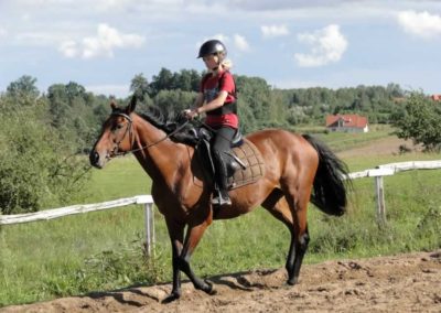 oboz-konie-2016-8-2-0149