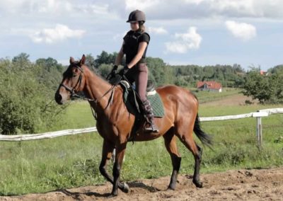 oboz-konie-2016-8-2-0155