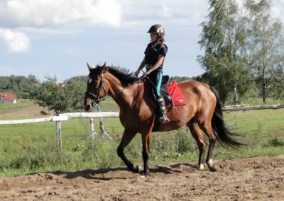 oboz-konie-2016-8-2-0170