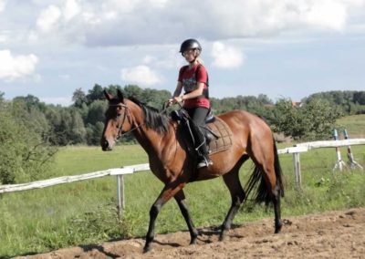 oboz-konie-2016-8-2-0178