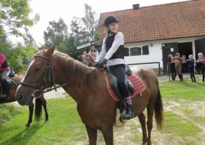 oboz-konie-2016-8-3-0002