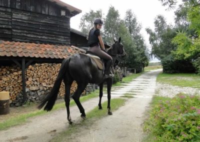 oboz-konie-2016-8-3-0007