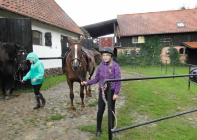 oboz-konie-2016-8-3-0014