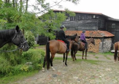 oboz-konie-2016-8-3-0026
