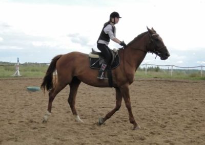 oboz-konie-2016-8-3-0059