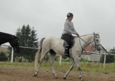 oboz-konie-2016-8-4-0021