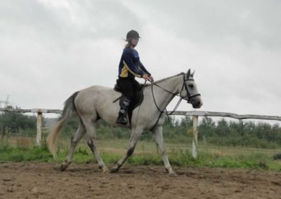 oboz-konie-2016-8-4-0063