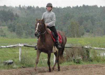 oboz-konie-2016-8-4-0185
