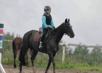 oboz-konie-2016-8-5-0008