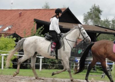 oboz-konie-2016-8-5-0073