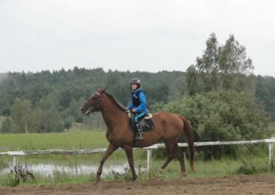oboz-konie-2016-8-5-0099