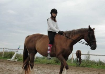 oboz-konie-2016-8-5-0153