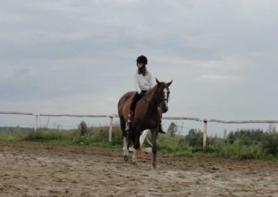 oboz-konie-2016-8-5-0161