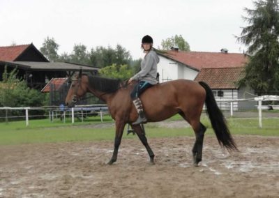 oboz-konie-2016-8-5-0191