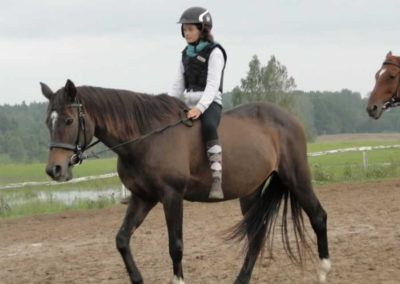 oboz-konie-2016-8-5-0207