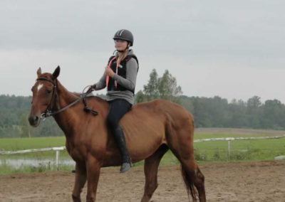 oboz-konie-2016-8-5-0208
