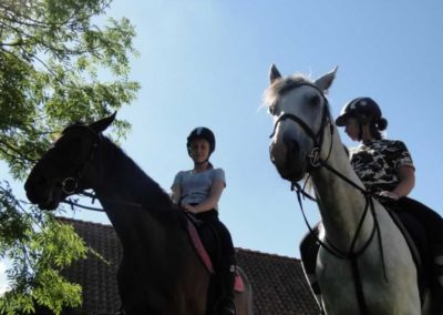 oboz-konie-2016-8-6-0031