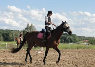 oboz-konie-2016-8-6-0070