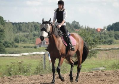 oboz-konie-2016-8-6-0074