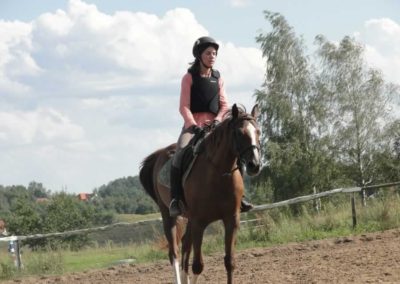 oboz-konie-2016-8-6-0098