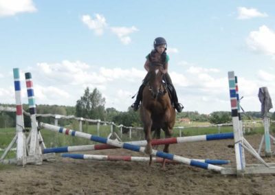 oboz-konie-2016-8-6-0132