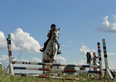 oboz-konie-2016-8-6-0151