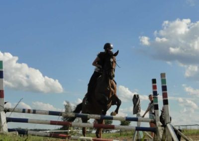 oboz-konie-2016-8-6-0152