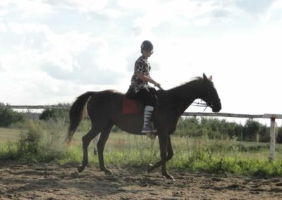 oboz-konie-2016-8-6-0211