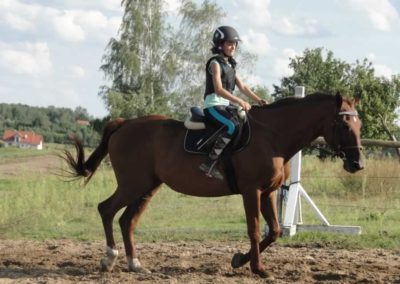 oboz-konie-2016-8-6-0225