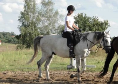 oboz-konie-2016-8-6-0229