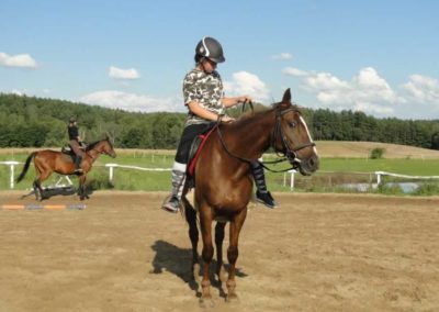 oboz-konie-2016-8-6-0238