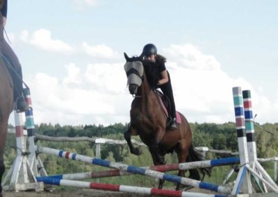 oboz-konie-2016-8-6-0249