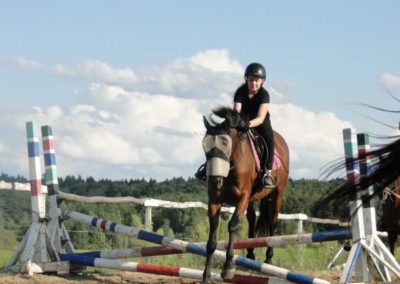 oboz-konie-2016-8-6-0250