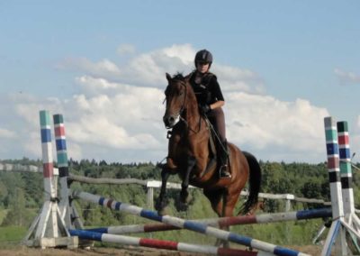 oboz-konie-2016-8-6-0252