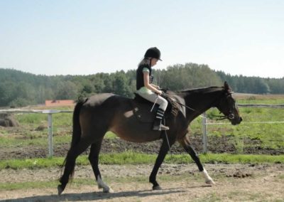 oboz-konie-2016-8-7-0007