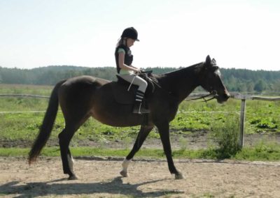 oboz-konie-2016-8-7-0008