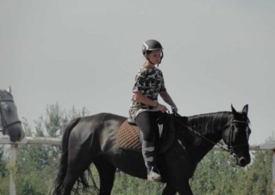 oboz-konie-2016-8-7-0011