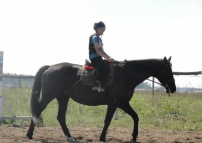 oboz-konie-2016-8-7-0032